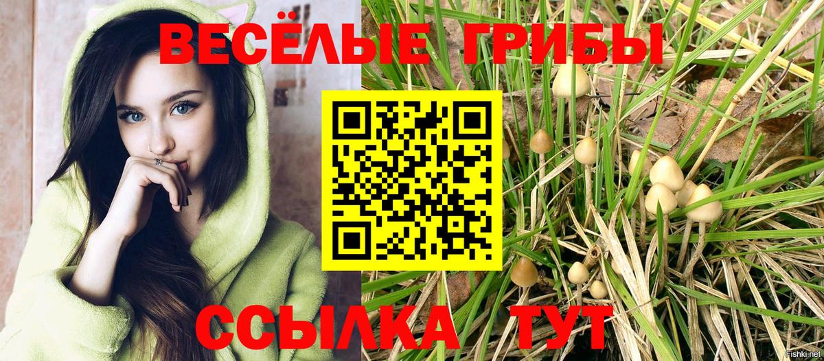 Губкинский  Псилоцибиновые грибы ЛСД  Вход с VPN 